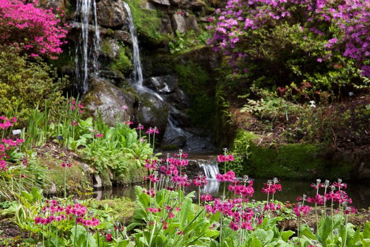 Bodnant Gardens