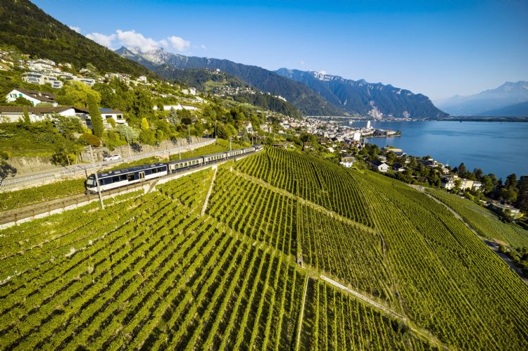 Train GoldenPass sur le lac Léman