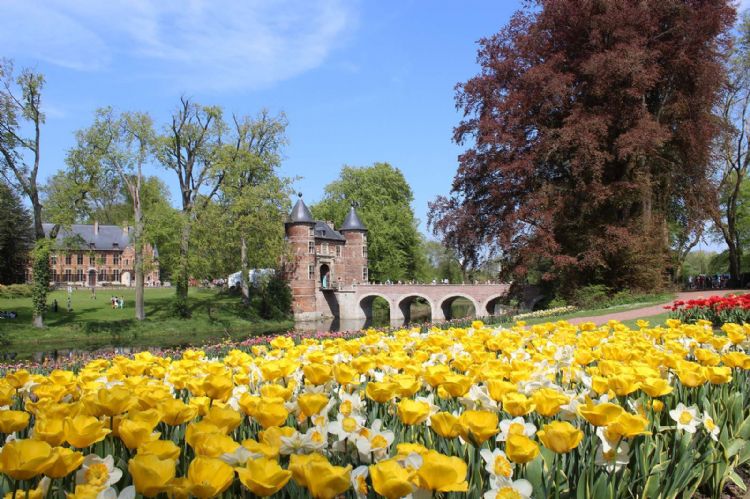 Floralia Bruxelles au château de Grand-Bigard