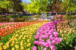 Le parc de Keukenhof